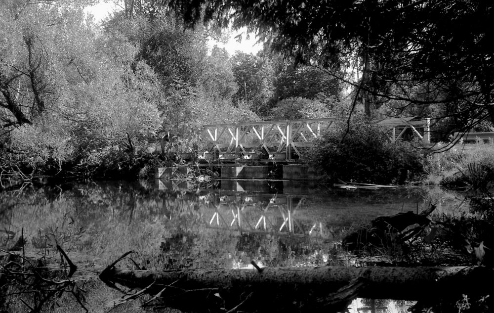 Boyne River Natural Science School